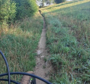 Sentier des moulins et sentier botanique à VTT - Chazelles-sur-Lyon - 5