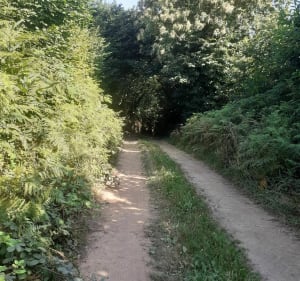 La grande boucle de la biche - Elliant - 3