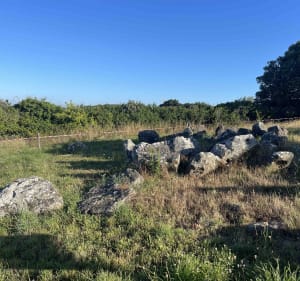 Découvertes à Pornic - Pornic - 5