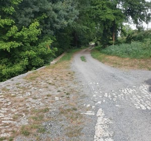 Thésée bord du cher - Thésée - 4