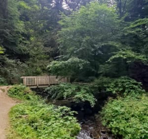 Mont-Dore waterval - Mont-Dore - 8