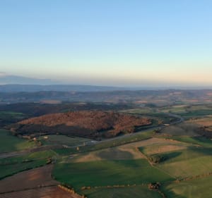 La forêt du Cade avec vu sur Millau - Millau - 4