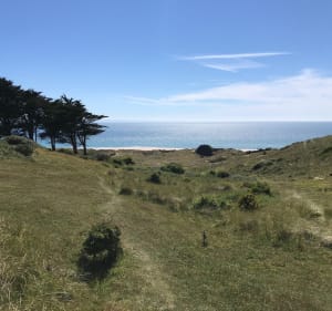 Les dunes d’Hattainville et la côte de Carteret - Barneville-Carteret - 3