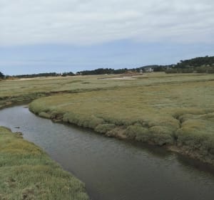 Belle balade vers Erquy - Plurien - 3