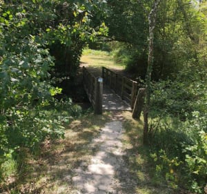 Randonnée à Lesperon le long des ruisseaux - Lesperon - 4