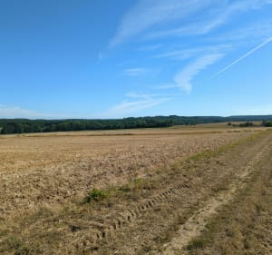 Tour Rochefort en Yvelines-le petit-plessis - Rochefort-en-Yvelines - 5