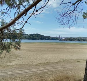 Balade champêtre au milieu des pommiers, en bord de Rance - Pleudihen-sur-Rance - 3