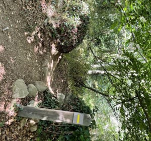 Le chemin de Halage - Pont-l'Abbé - 5