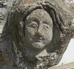 Balade champêtre au milieu des pommiers, en bord de Rance - Pleudihen-sur-Rance - 5