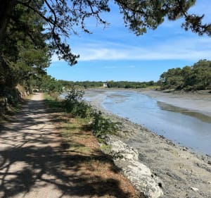 Le chemin de Halage - Pont-l'Abbé - 7