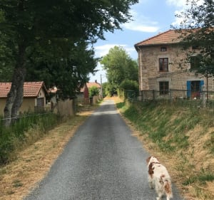 Petite boucle Boffet - La Verrerie - Saint-Nicolas-des-Biefs - 3