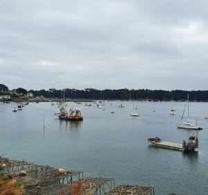 Le tour de Larmor Baden entre mer et marais - Larmor-Baden - 5