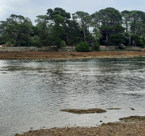 Le tour de Larmor Baden entre mer et marais - Larmor-Baden - 4