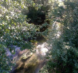 Balade en plaine du Tartre - Le Tartre - 3