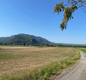 Les rives de l’Isère et ses Noyers - Saint-Hilaire-du-Rosier - 5