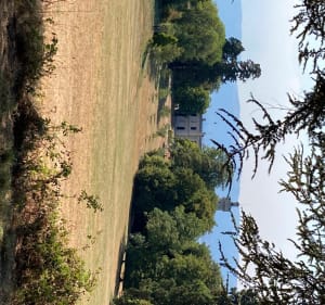 Montée au Château de Thénières, puis visite de son parc - Douvaine - 3