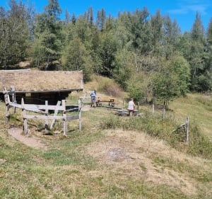 Chalet du obite - Sewen - 3