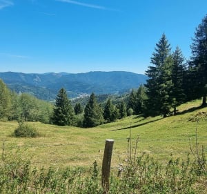 Chalet du obite - Sewen - 4