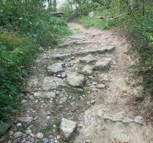 Balade dans les bois de Bornachon et belles vues - Sillingy - 4