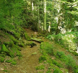 Prachtige wandeling naar het Ermeer in de Ossauvallei - Laruns - 4