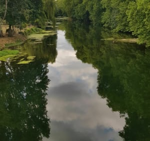 Jolie balade entre Dissay et saint Cyr - Dissay - 3