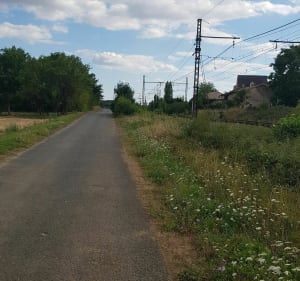 Jolie balade entre Dissay et saint Cyr - Dissay - 4