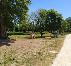 Belle balade entre Bonnelles, la Bâte et forêt Angervillers - Bonnelles - 5