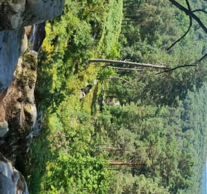 Le long rocher - Fontainebleau - 4