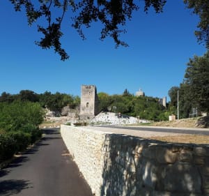 Du Chameau à Clansayes - Saint-Paul-Trois-Châteaux - 5