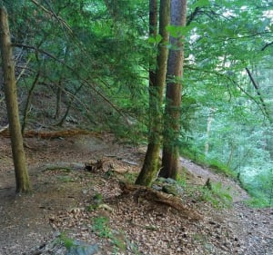 VTT Combloux-Domancy - Combloux - 3