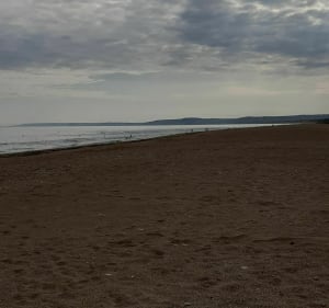 Balade entre Batterie de Merville et réserve naturelle de Franceville - Merville-Franceville-Plage - 4