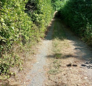 Les bois de Chavanod,  entre rivière et château - PHILIPPE - 3