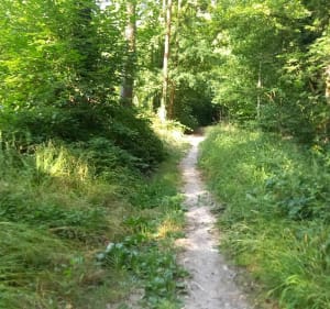 Autour de Couilly-Pont-aux-Dames - Couilly-Pont-aux-Dames - 3