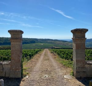 Tour de Saint Romain par les falaises et les ruines - Saint Romain - 3
