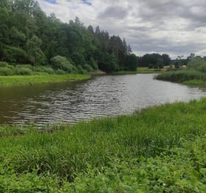 De Saint Avold au Warndtweiher, retour par les étangs - Saint-Avold - 5