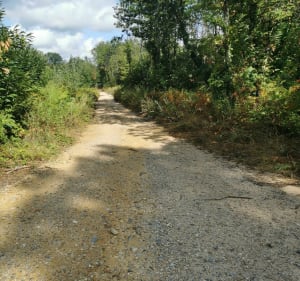 Les hauts de Nauves - Pays-de-Belvès - 4