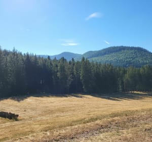Van Raon-sur-Plaine naar Vexaincourt per mountainbike - Raon-sur-Plaine - 4
