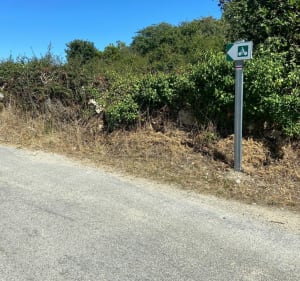 La campagne autour de Sainte-Barbe - Plouharnel - 4