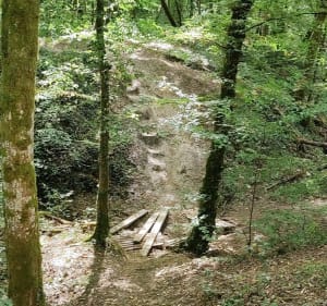 Wandelen in het Bois d'Elange - Thionville - 3