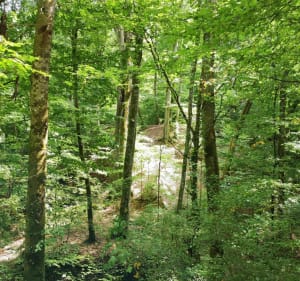 Wandelen in het Bois d'Elange - Thionville - 4