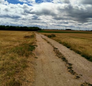 Balade VTT Chaingy,Ormes, Ingré en sous bois - Chaingy - 5