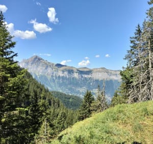 Circuit du lac de Flaine - Arâches-la-Frasse - 4