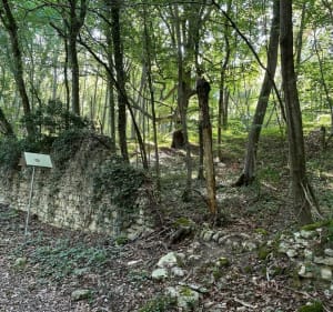 Tour des parcs Issou - Issou - 5