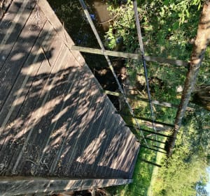 Les Prairies de Pacouinay - Bois Riveau - Rives-d'Autise - 4