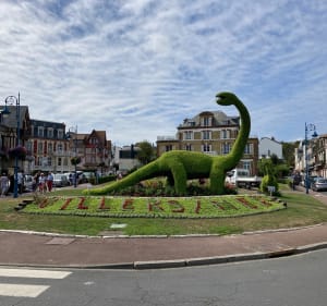 Zwarte Koeien Wandeling - Villers-sur-Mer - 5