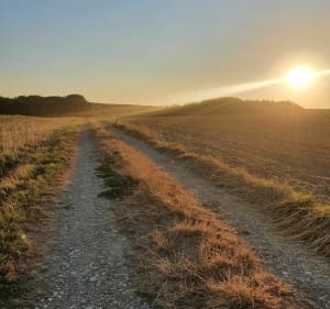 Hirsingue - Hirtzbach : champs, forêt et coucher de soleil - Hirtzbach - 3