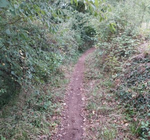 Balade entre Mougon et Montaillon - Aigondigné - 3