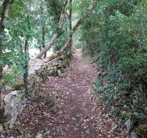 Balade entre Mougon et Montaillon - Aigondigné - 5