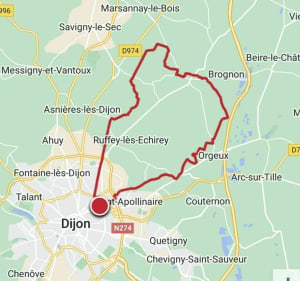 VTT de 33kms chemin blanc terre et sentier dans les bois. - Dijon - 3