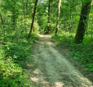 VTT de 33kms chemin blanc terre et sentier dans les bois. - Dijon - 4